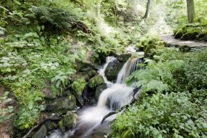 hebers ghyll july 7 2012 sm.jpg